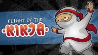 Flight Of The Ninja Online Action Game