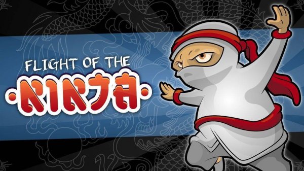 Flight Of The Ninja Online Action Game