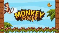 Monkey Jungle Puzzle Quest