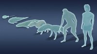 Idle Evolution: From Cell to Human Simulator Online Game