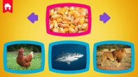 What Do Animals Eat - Fun Learning Puzzle Game Online