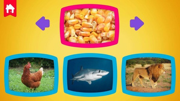 What Do Animals Eat - Fun Learning Puzzle Game Online
