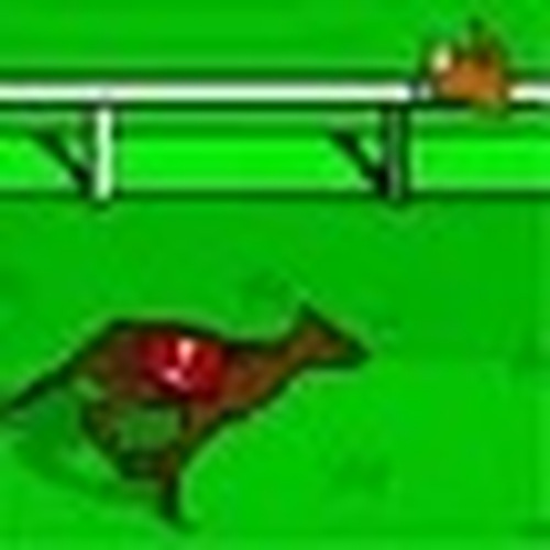 Canine Track Star Manager
