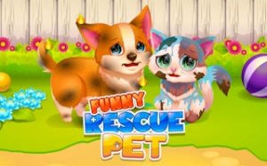 Pet Rescue and Styling Adventure