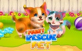 Pet Rescue and Styling Adventure